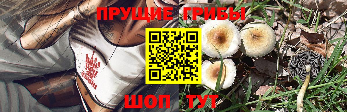 Псилоцибиновые грибы Cubensis  Галлюциногенные грибы MAGIC MUSHROOMS  купить   Кохма  Вход с VPN 
